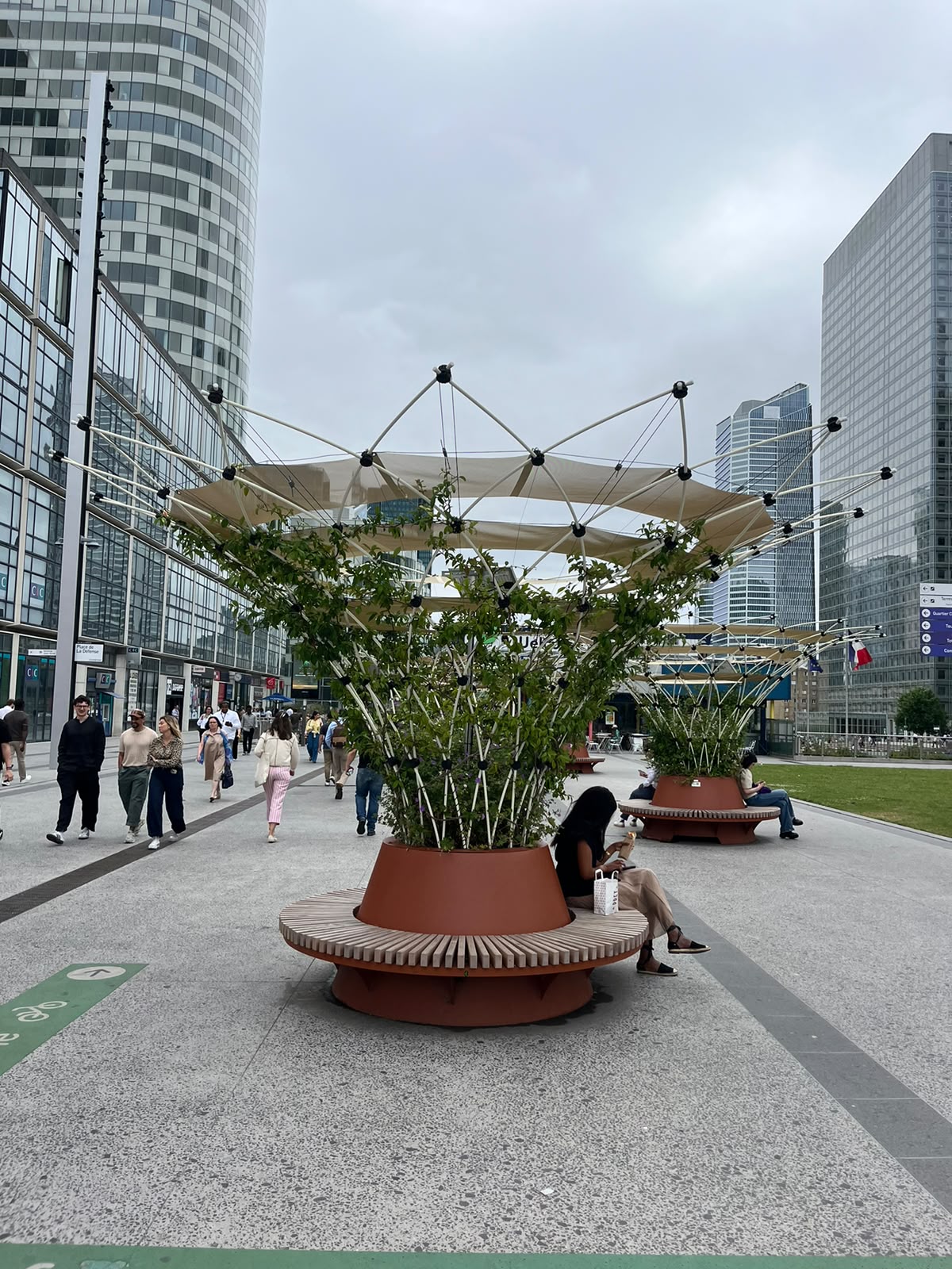 Corolle installée en milieu urbain