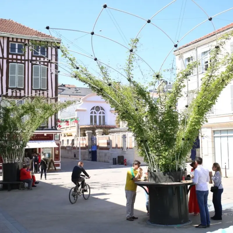 Canopée végétale en milieu urbain