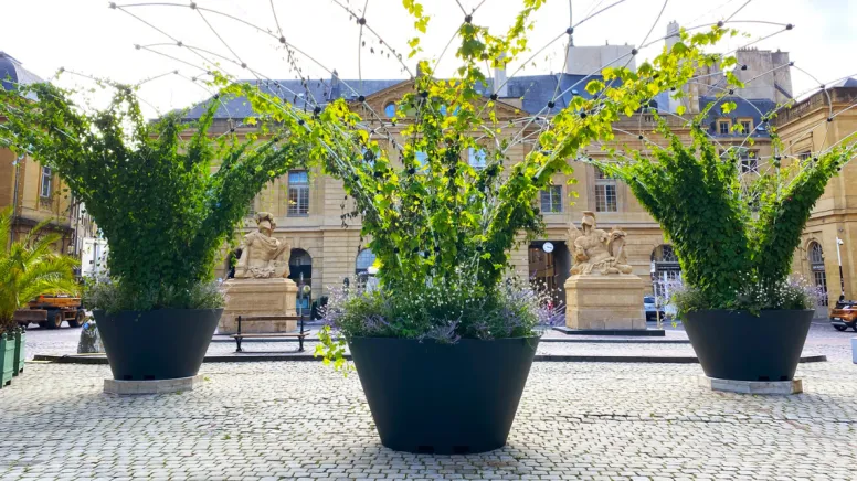 Corolles Urban Canopée installées sur une place