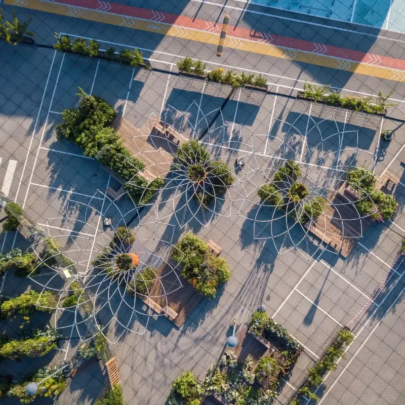 5 Corolles Standard L